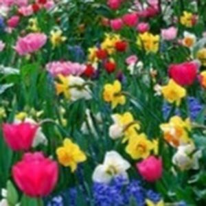 Meet your Posher, Olga